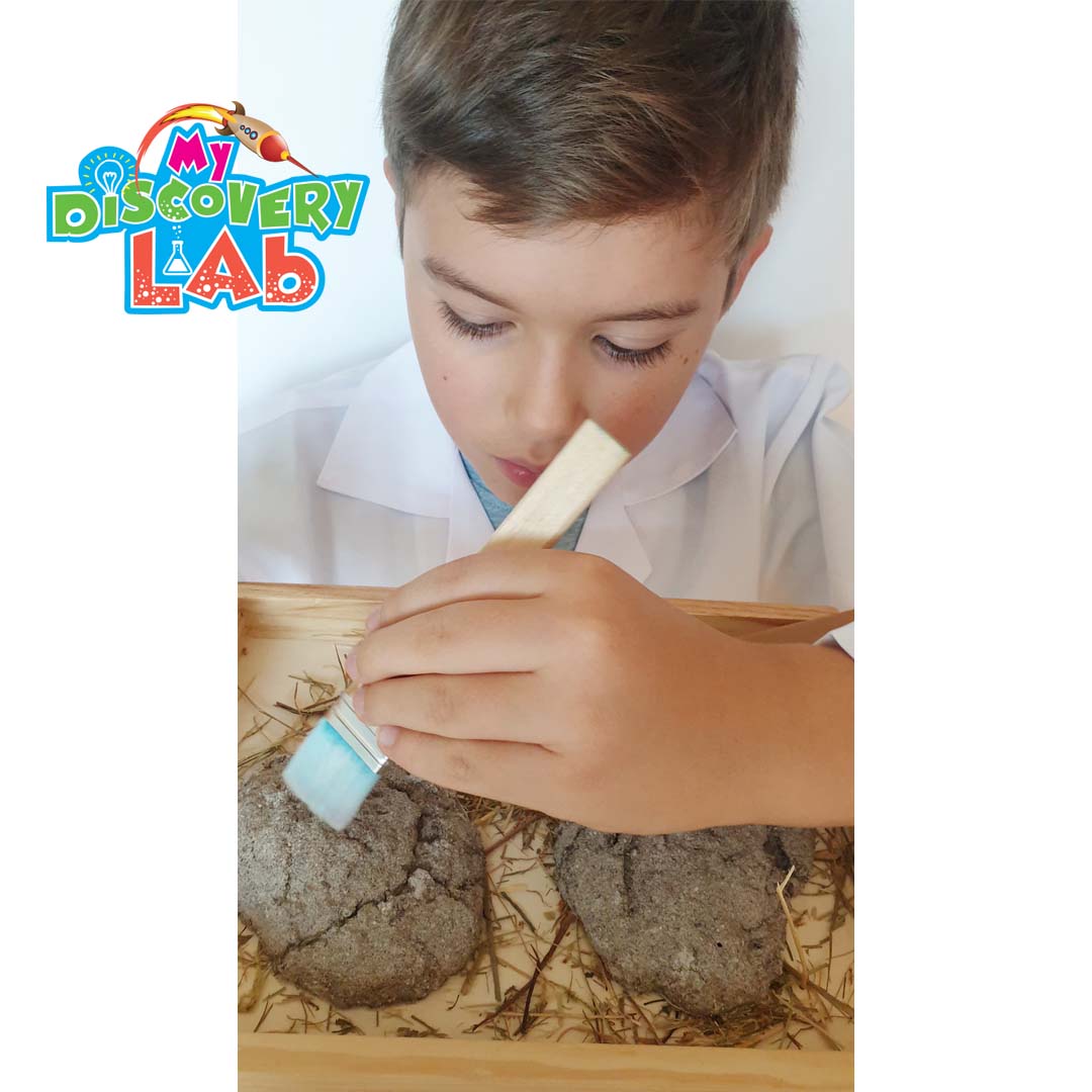 Dinosaur Activity Box (3-7 years)