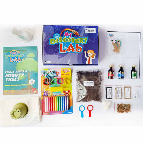 Box 3 - Small Seeds and Mighty Trees: Investigating plant growth (3-5 years)