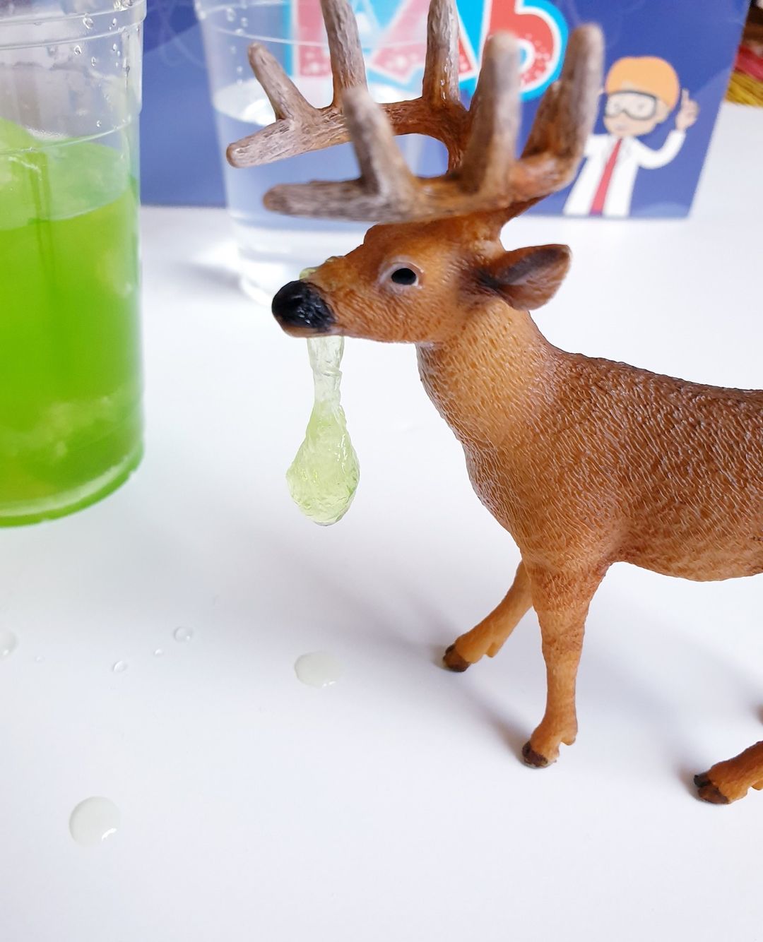 Science Kit: Reindeer Snot